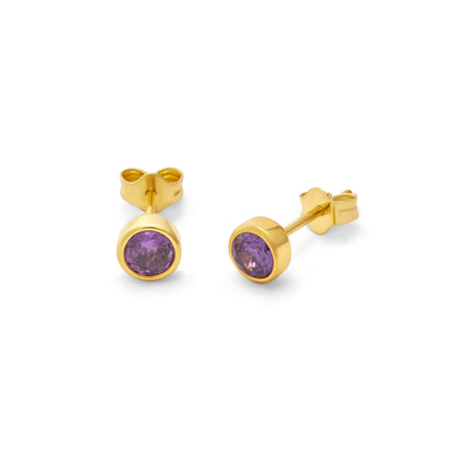 Gold Plated Sterling Silver Amethyst CZ Rub Over 4mm Stud Earrings