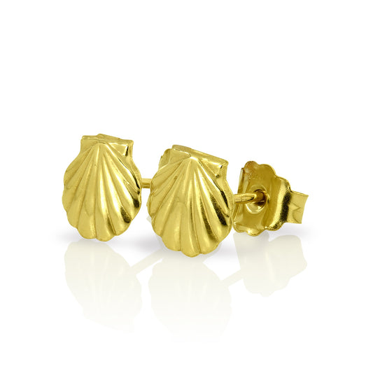 9ct Gold Clam Sea Shell Stud Earrings