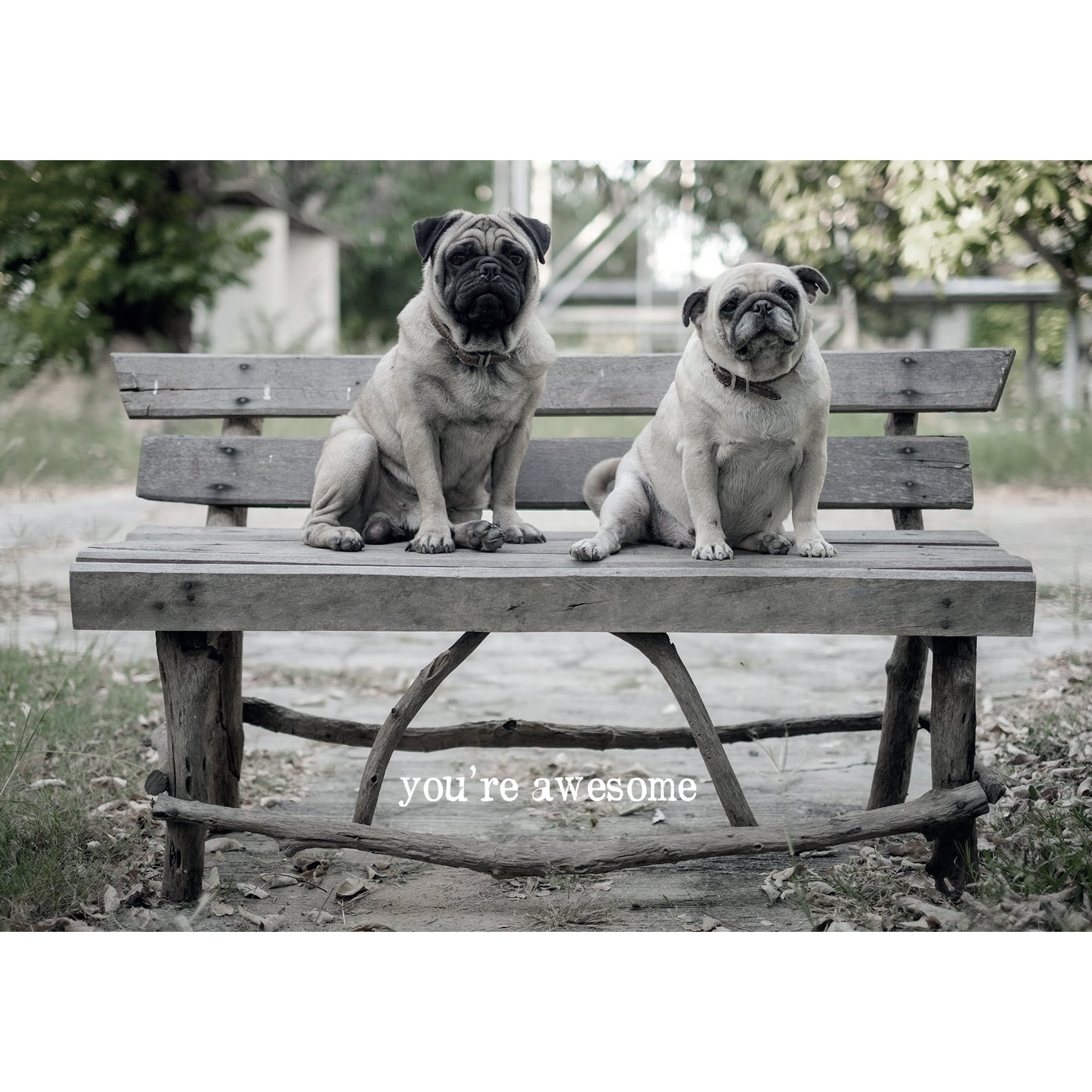 Cute Pug Giftcard - with Message